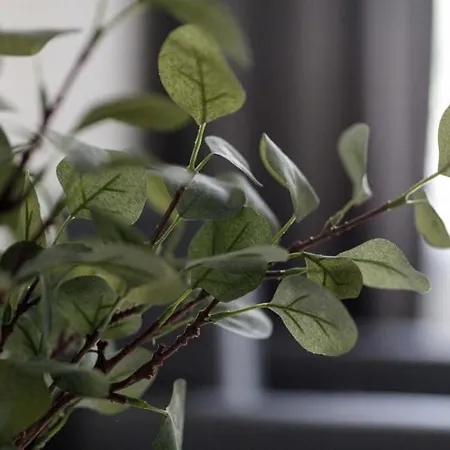 Close-central - Old Town - Comfortable And Cozy - W3 Breslau