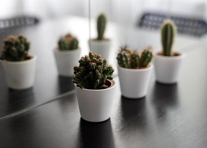 Close-central - Old Town - Comfortable And Cozy - W3 Apartment Breslau