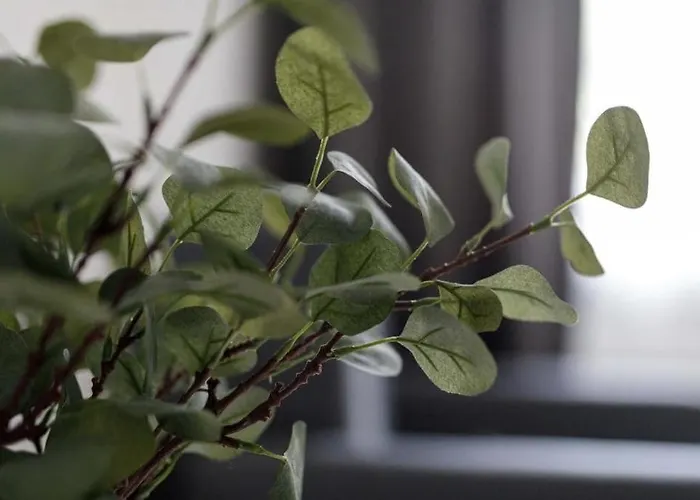 Close-central - Old Town - Comfortable And Cozy - W3 Vratislav